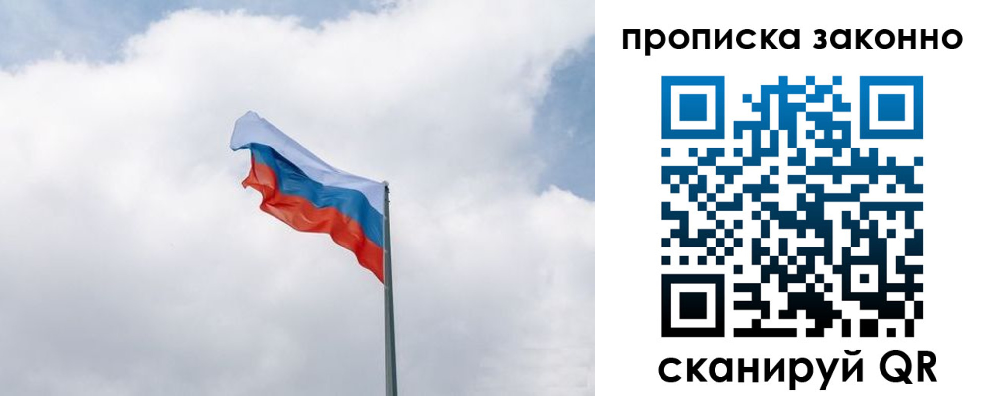прописка поиск в Смоленской области